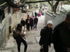 -蒋六十八梯眼镜面(渝中店)