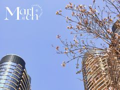-洲头咀公园