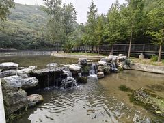 -白水寺森林公园
