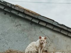 -火火咖啡&茶空间