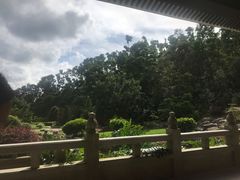 -深圳仙湖植物园-停车场