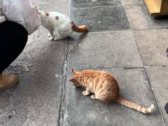 -龙华素斋(龙华路店)