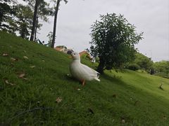 -美兰湖景区