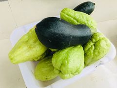 刚摘的福尔瓜-尹三姐农家乐