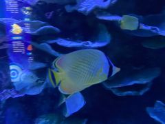 -左海海底世界