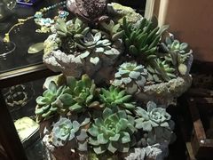 -留香花园(淮海街商业街店)