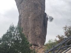 -磬锤峰森林公园