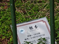 -西湖风景区十里琅珰-五云山