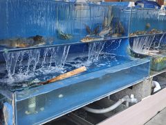 -北方饺子王·海肠捞饭·海鲜锅(山大店)