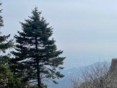 -泰山风景名胜区