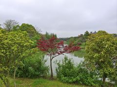 -宜兴龙背山森林公园