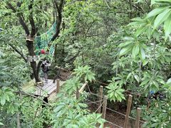 -大雁山风景区