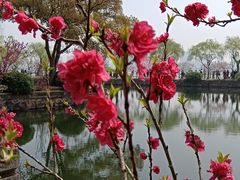 -无锡蠡湖国家湿地公园-蠡园