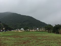 -老虎潭水库