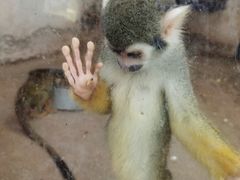 -石家庄市动物园