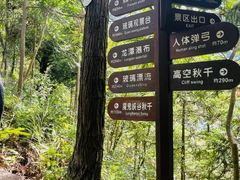 -龙湾潭国家森林公园