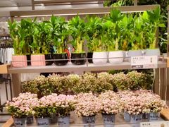 -鹿岛生活(熙地港店)