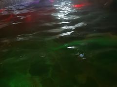 -泉城欧乐堡戏水湾艺术养生温泉