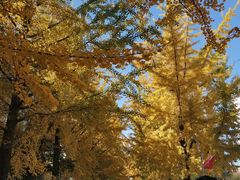 -辽东学院(南校区)