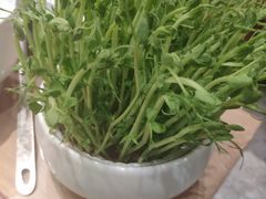活体豆苗-笨小满·钱缸缸火锅(江汉路M+店)