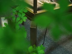 -大视光学•LINDBERG林德伯格•全球手工眼镜集合店(王府井店)