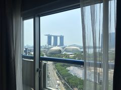 -新加坡瑞士史丹福酒店