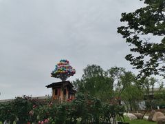 -秀丽东方