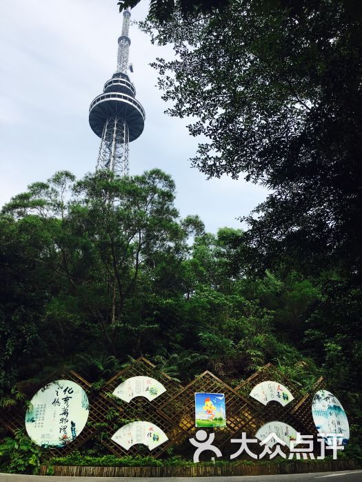 东岳公园-景点图片-阳江周边游-大众点评网