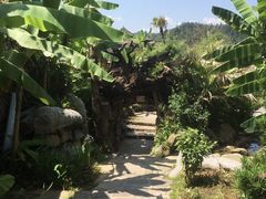 -天芳悦潭度假村温泉