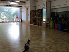 -日新剑道馆
