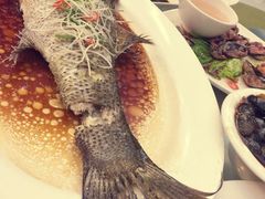 -盐通酒家(金桥湾清水苑店)