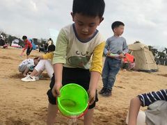 -瑶湖郊野森林公园