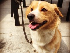 -清心素食自助餐厅(夫子庙店)