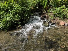 -重庆彩云湖湿地公园