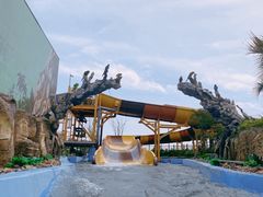 -上海海昌海洋公园
