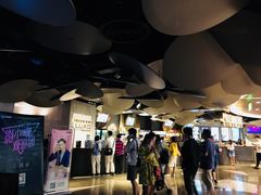 -百美汇影城(LUXE嘉里中心店)