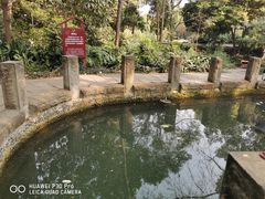 -成都市活水公园