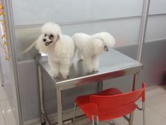 -艾贝尔宠物医院·24H转诊中心·肿瘤猫专科(江宁双龙店)