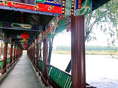 -微山湖红荷湿地景区