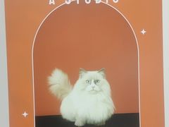 -一间摄影工作室(天安云谷店)