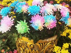 -咸阳湖景区-统一广场