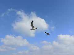 -大连海昌东方水城