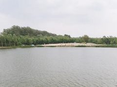 -东郊湿地公园