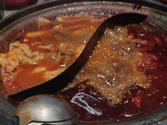 -生活如沸·顺德水牛奶火锅(大学路店)
