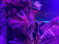 -沈阳海洋探索中心