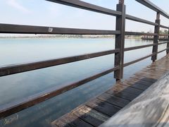 -桐乡凤凰湖