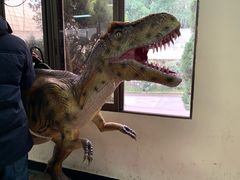 -自贡恐龙博物馆