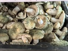 -双喜农庄·菌香园(安居家园店)