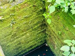 -西湖风景区十里琅珰-五云山