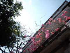-赤坎古镇影视城